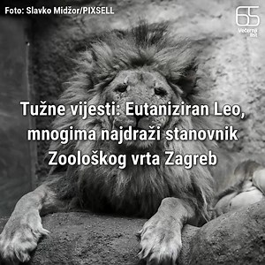 72K views · 807 reactions | Tužne vijesti: Eutaniziran Leo, mnogima najdraži stanovnik Zoološkog vrta Zagreb | Zagreb Večernji list | Facebook