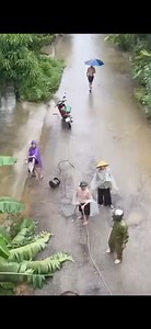 thuong lam dong bao oi | Thành phố Hồ Chí Minh