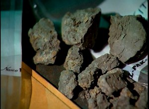 Forensic Files Sole Survivor 14 | Forensic Files 2024