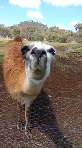 #YouKnowIt | I found this: