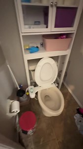 Limpando por amor . Até cobra tem aqui | Marina na America