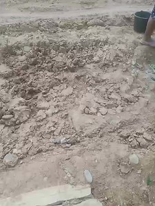 11K views · 47 reactions | 15 tahun tidak di Bangun, Emak Desa Gotong royong timbun Kubangan Lumpur di Desa Muara Santan, Trans Lapindo Bengkulu Kecamatan Napal Putih Kabupaten Bengkulu Utara. "Tolonglah Pak Pejabat, Perhatian Jalan Desa Kami kurang lebih 15 tahun idak ado pembangunan Infrastruktur. Jalan bukan jalan lagi jadi kubangan (Lumpur Sawah). Vidio kiriman Warga Desa Muara Santan Bengkulu Utara Kecamatan Napal Putih. | Bengkulutoday.com | Facebook