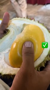 187K views · 1.1K reactions | Durian termahal di dunia nih boss | AA Kadu - Kebun Durian Tasikmalaya | Facebook