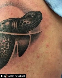 23 reactions | Cute sea turtle by @peter_newskool #odditytattoo #odditytattoo2018 #hivecaps #srq #siestakey #siestakeybeach #lidobeach #lakewoodranch #seaturtle #seaturtletattoo #tattoo #tattoos #blackandgreytattoo #pacorollinsmachines #kingpintattoosupply #stencilstuff #solidink #sarasota #florida #wingedveil | Oddity Tattoo Studio and Gallery | Facebook