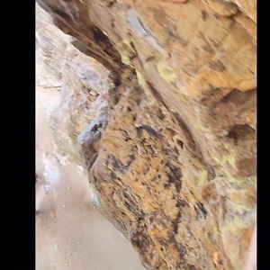 Getting beach-ready for Easter weekend? Here are a few must-haves! https://trinidadweddings.com/cedros-bay-product-review/ #TrinidadWeddings #bridalbeauty #cedrosbay #beachlife #trinidadandtobago #cleanbeauty #veganbeauty Cedros Bay | Trinidad Weddings