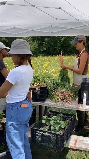 Fresh #local #produce #atlanta @freedomfarmersmkt #saturday 🎯💥👀 #spinache #chard #carrots #beets #garlic #onion #parsnips #cabbage #bokchoy @earthrichherbs herbal products and #purplepeas 🌸♻️🌍 #growwhereyouare | Grow Where You Are