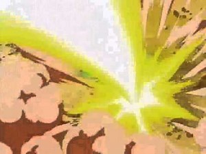 Vegeta Vs Android 19