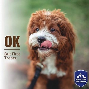 Himalayan Pet Supply on Reels