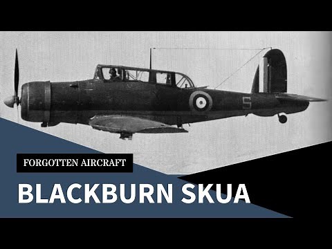 The Blackburn Skua; Fighting Dive-Bomber or Dive-Bombing Fighter?