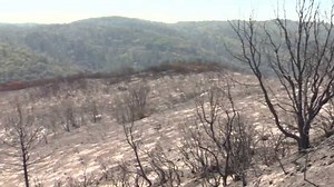 Cal Fire: Arson was cause of Bridge Fire in Placer County