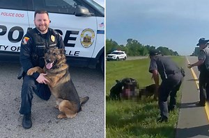 Shocking video captures police dog mauling trucker with hands up