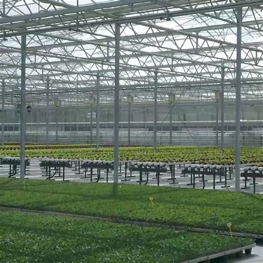 Otvoren prvi rasadnik po standardima Evropske unije | Dnevnik