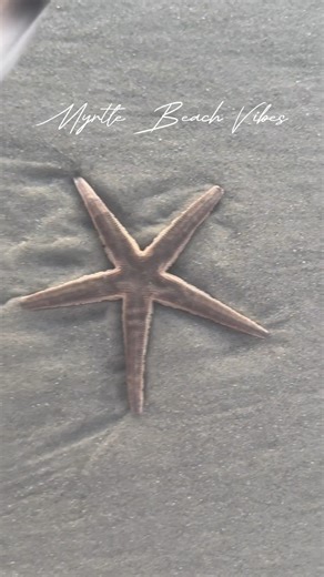 🌞 Feelin' some Beach Vibes today! 🏖️🌊 #CoralBeachMB #CoralBeachResort #MyrtleBeach #GrandStrand #MyrtleBeachSC #Vacation #Beach #BeachVacation | Coral Beach Myrtle Beach