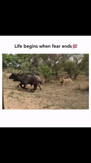 1.2K views · 14 reactions | #StayPositive | Stay Positive :) | Facebook