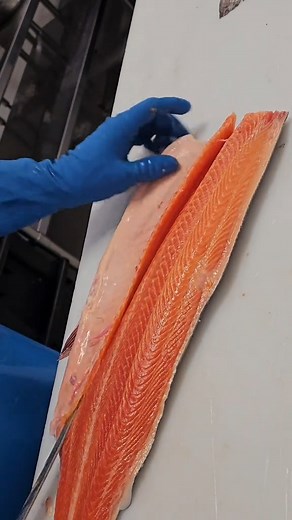 #rainbowtrout #steelhead #oceantrout #seafood #fishmonger | Fish Zone