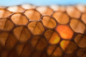 The Secrets of Honeycomb