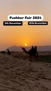 5.9K views · 203 reactions | Pushkar Fair 2024 | Happy Groovy Lucky | Facebook