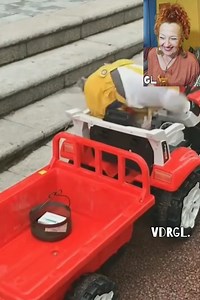 64K views · 313 reactions | No podrás creer lo que este perro hace por su dueña :) | Frases y reflexiones para compartir en tu muro, de: Gif Lovers. | Facebook