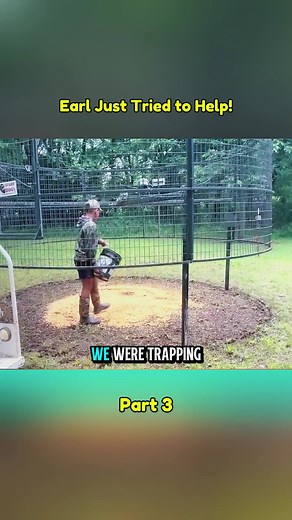 Part 3 - Earl Just Tried to Help! #feralpigs #hogtrapping #wildboar #pestcontrol #farmlife #outdoors