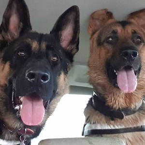 imagingwagon - Twitch