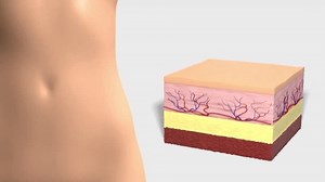 Fat Burning Weight Loss Comparison Changes Stock Footage Video (100% Royalty-free) 3753134851 | Shutterstock