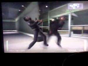 Enter the Matrix [PS2]