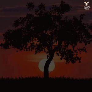 2.1K views · 116 reactions | Wisdom Words❤ | Dear Sir | Facebook