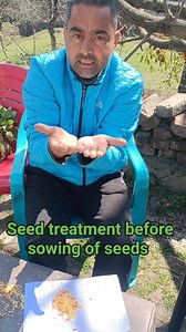 Fungicide treatment of Chillies seeds before sowing and prepare nursery with a raised beds. | Agriculture Activities