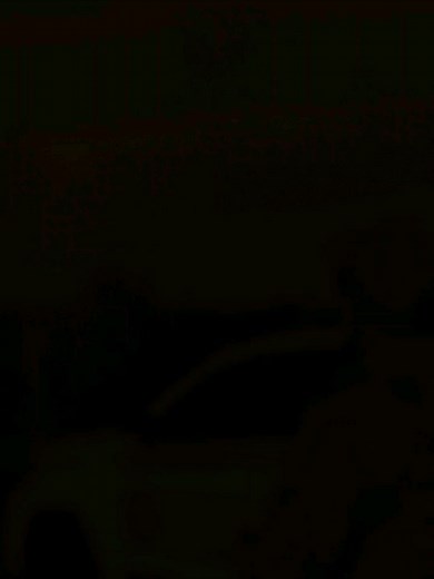 23 reactions | Brigada Militar Vale do Rio Pardo - CRPO VRP on Reels | Facebook