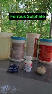 13K views · 277 reactions | Paano gamitin at ilang araw ibibigay ang ferrous sulphate sa rtl na anemic or maputla ang palong. Masigla sila at malakas naman sila kumain #passiveincome #backyardchickens #eggs #farmersmarket #everyonefollowers | Chard Padilla | Facebook