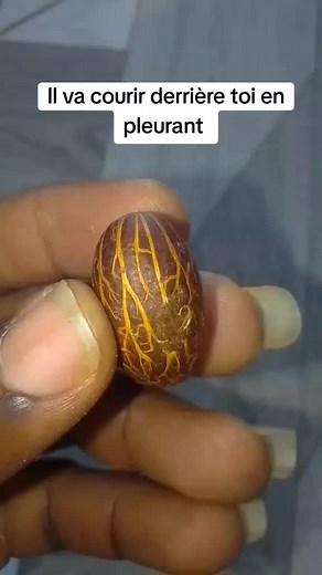 Docteur Herva 2290199172279