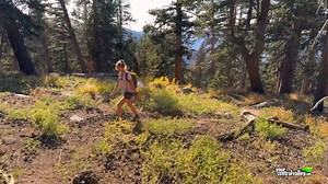 On The Trail VR/360°: Mitchell Peak