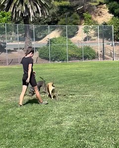 14K views · 165 reactions | Meet Mouse, a 7 month old high energy...