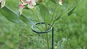 36 Inches Single Stem Plant Support Stakes Steel Garden Stakes Plant Stem Support, Pack of 20