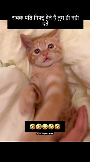 Rakhi Ranjeet Tiwari on Instagram