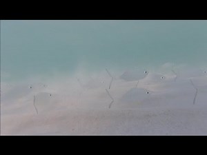 DUBAI TRIP || DAY THREE