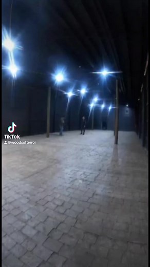 1.1K views · 31 reactions | Pinky and the Brain are at it again..  #nchaunts #woodsofterror #fyp #viraltiktok #foryoupage #buildseason #scary #halfwaytohalloween #hauntedhouse #halloween #monsters #hardwork #hardwork #transworld #graveyard #statues #pinkyandthebrain | Woods Of Terror | Facebook