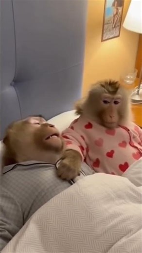 Wife Monkey SMACKS Snoring Husband Across the Face 😭💥