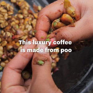 936K views · 1.3K reactions | This coffee is the most expensive crap you'll ever drink... literally  | UNILAD | Facebook