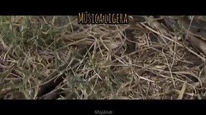 Mujer distante"🎶😐 | Kevin Kaarl