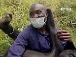Leonardo DiCaprio produced Netflix documentary 'Virunga'