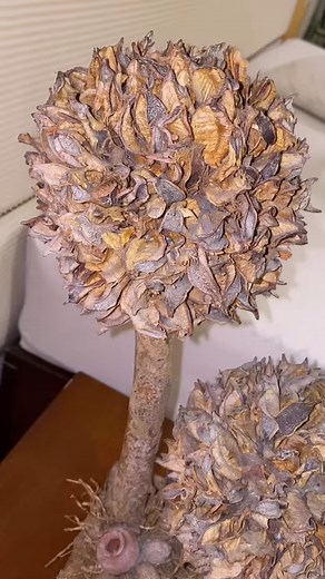 #snakeneckedturtle #snakeneckturtle #turtles #longneck #snakeneck #ManilaOceanPark #fbreels #fbreelsvideo | Emotera