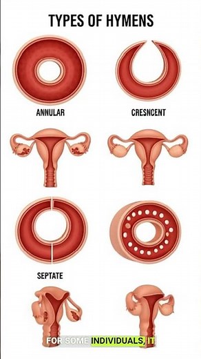 How Does the Hymen Break? | Medical Explanation with 3D Anatomy