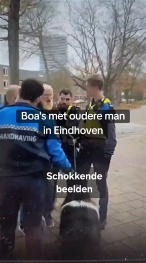 Wat een zielige amateurs. En hufters natuurlijk.