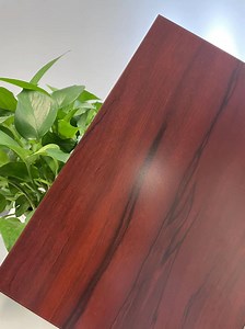 [Hot Item] Wood Grain Texture Powder Coating for Metal Doors