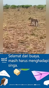 132K views · 2.9K reactions | Apa peribahasa yang tepat? | Bagi Kertas | Facebook