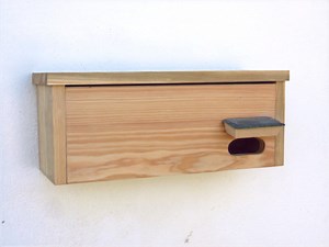 Swift Nesting Box