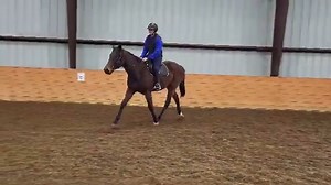 UNNAMED SWAP MEET '22 is a happy-go-lucky, kind gelding who can go in any direction for his future career! "Meep" is exceptionally easy under saddle, especially for his age. His perfect adopter will be someone patient and willing to give him more time to mature before beginning further training. Click here to read his full bio: ➡️ horseadoption.com/horse_detail/1271 🐭 2022 Thoroughbred Gelding 🐭 Location: Lexington, KY 🐭 16 hh - #ottb #thoroughbred #adoptahorse #adoptdontshop #righthorse #hun