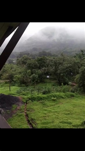 Where the forest and the mountains hum in stillness 🍃 #themachan #lonavala #ecoresort #monsoon #forest #nature #rainydays #themachanlonavala #maharashtratourism #foresttherapy [ The Machan Lonavala, ecotourism, eco stay, forest, rain, monsoon, Maharashtra ] | The Machan