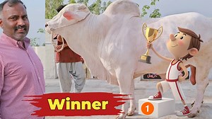 Winner 🏆🥇 | Cattle Care Farm